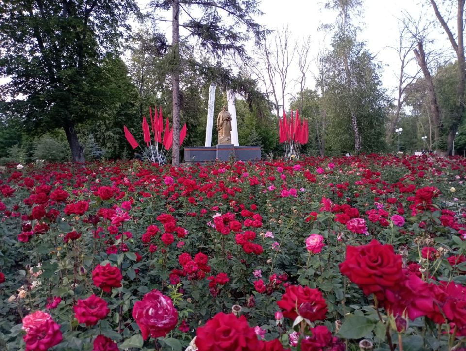 ��� �������: � ��������� ����� �������� � ������ ��. �. �������� ���������� �������� �����, ������������ ��������� ������ ������� ������������� �����