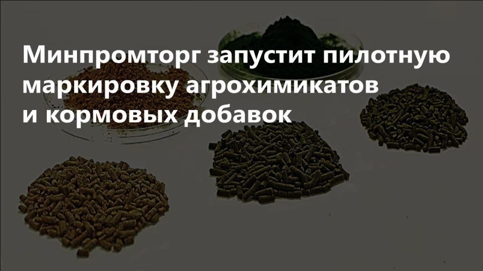 ������������ ���������� ��������� � �������� ������� �������� � ������