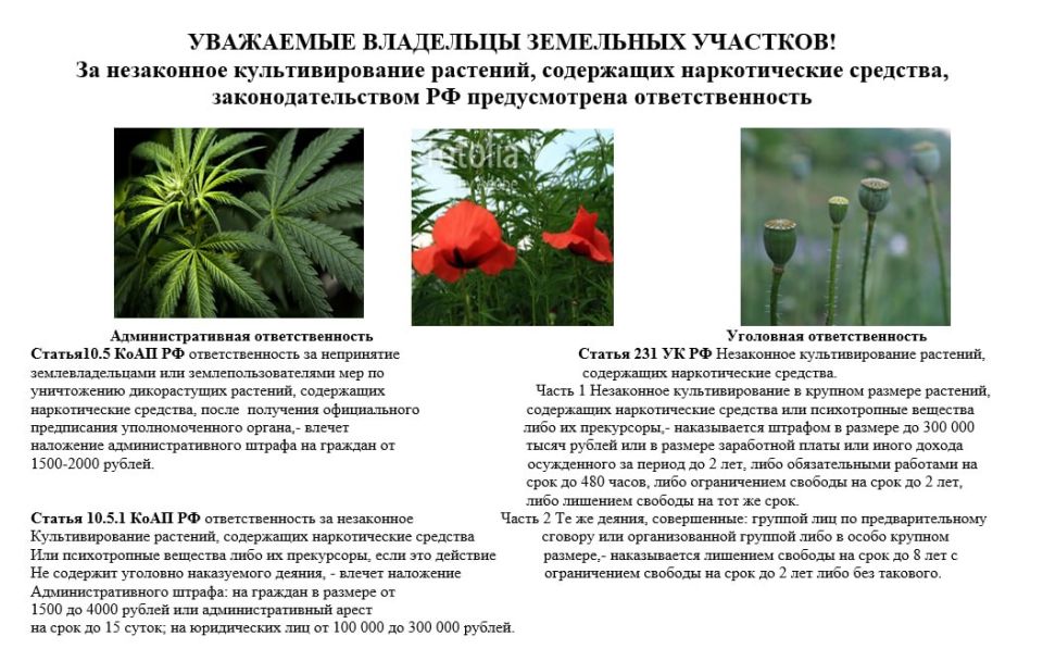 � ��������� ������������� ������ ���������� ��������� ����������������� ��������