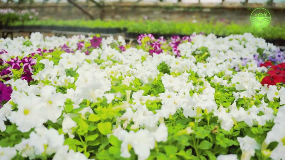 ��� �������: �������� �������? ������� �������� � ������� � ������� �������?