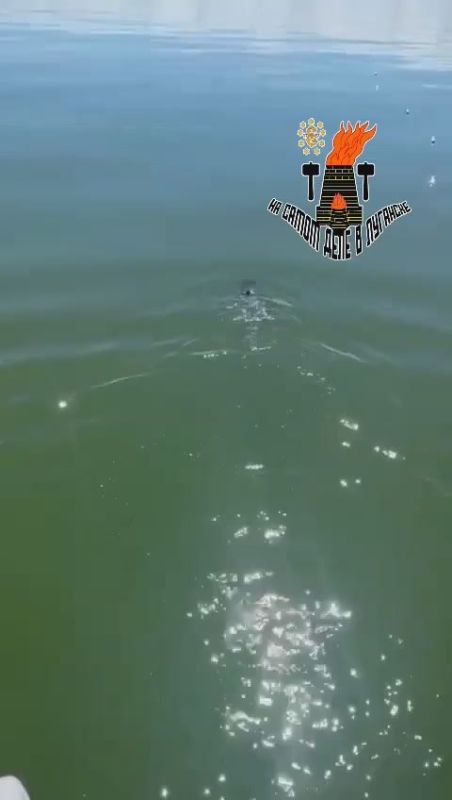 � ������������ ������ ������ ������� �������������� ��������