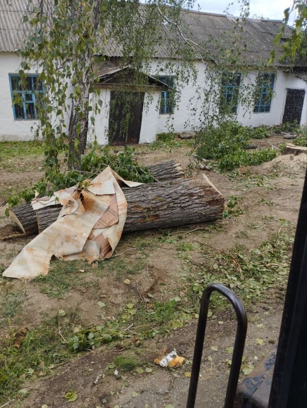 Андрей Рубанцов: В Ровеньках ведутся работы по удалению и обрезке аварийноопасных зелёных насаждений