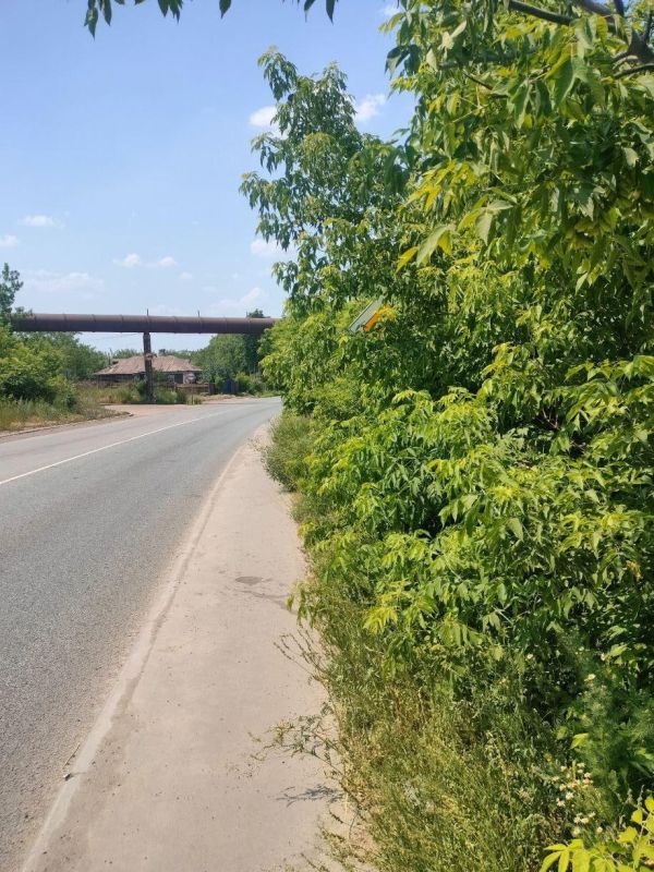 ������������ ��Ϋ�������������������� ������ �� ������ ������ � ������� ����������