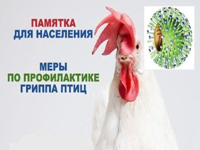 ������� �� ������������ ����������������� ������ ���� (���)
