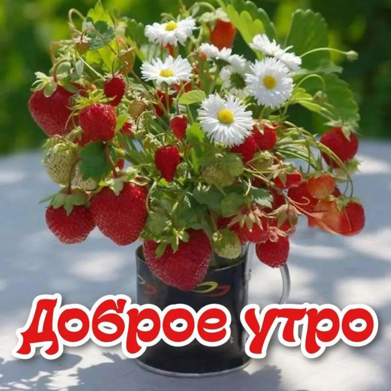 � ������ �����, ������������� �����!