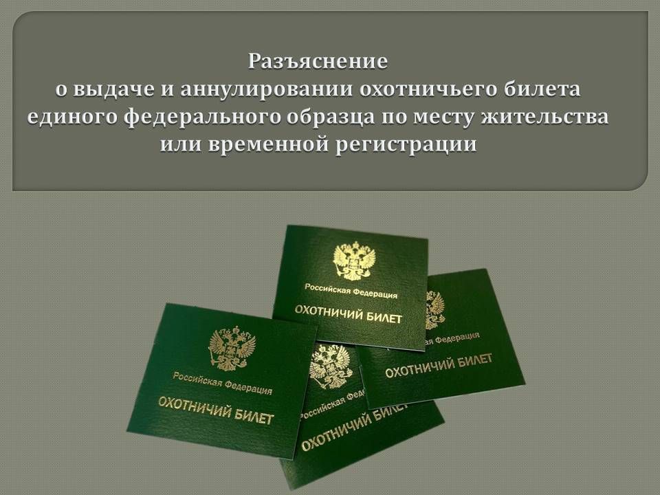 ����������� � ������ � ������������� ����������� ������ ������� ������������ ������� �� ����� ���������� ��� ��������� �����������