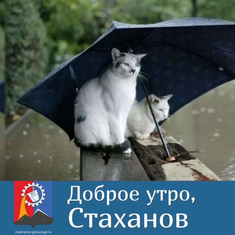 ������ ����, ��������!. ����