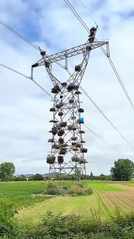 ����������� ��������� ������ � ��������� ������ ��������������� �������