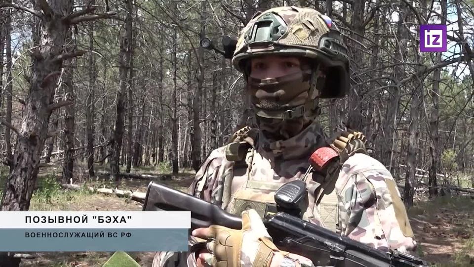 Армия России ежедневно ведет бои в Серебрянском лесничестве между Кременной в ЛНР и селом Серебрянка в ДНР