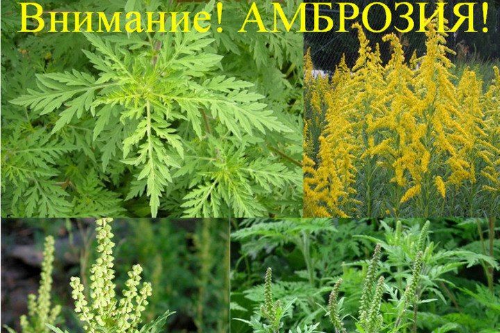 ���������� ����������������� �� �������� �������� ���������� � ��������� �������� ���������� ���������� � ����� ��� ���