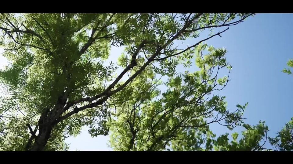 ���� �����!. ������������ ����������� � ����� ��� ������ ���������� �������� � ������ ������ ������