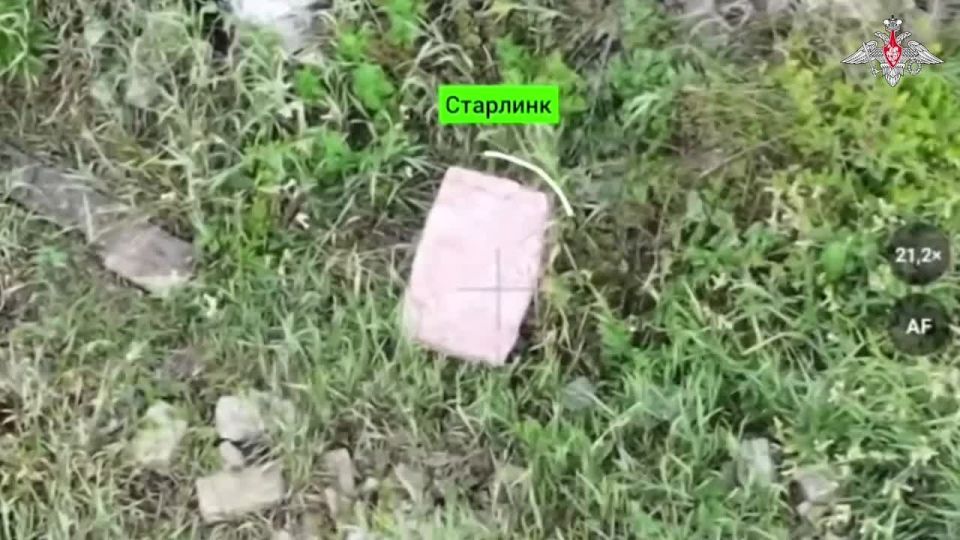 ������������ ������ ����������� ���������� ��� ������ ���������� ���� ����������