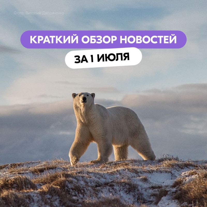 �� �����, ��� ������� ����������� ����������, ������������� �� ������ ������������� ����, ����� ������� � �������?