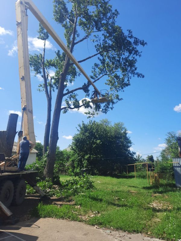Андрей Рубанцов: В Ровеньках продолжаются работы по удалению и обрезке аварийноопасных зелёных насаждений