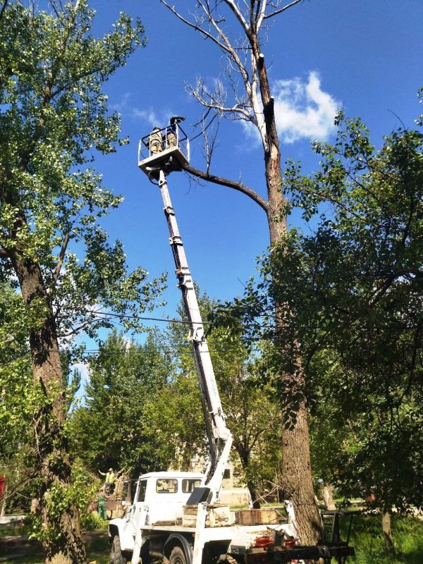 Силами МУП "Антрацитовское зеленое хозяйство" продолжаются работы по благоустройству территории города