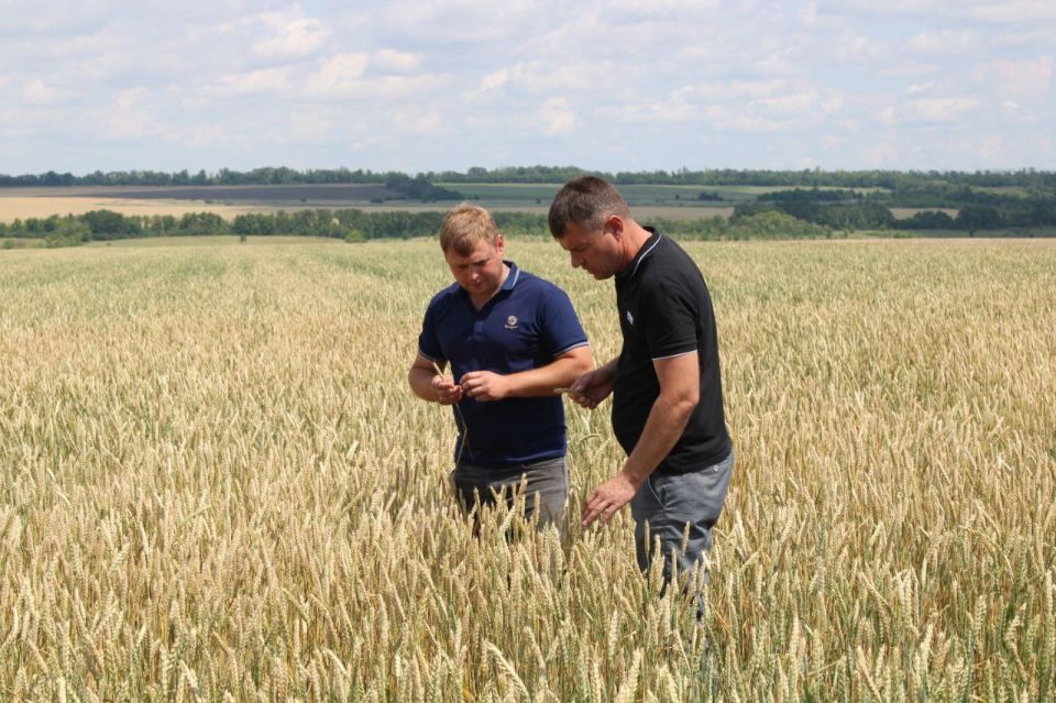 �������� ������: ���������� ����������������� �������� �������� ���������� ��������� ������� ������ ������� ����� �������� �� ����� ������� "������������� �������" ���� ����� �.�. ����������