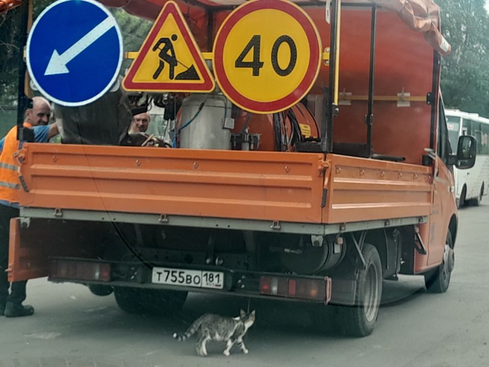 � ���������������� ��������� ������ �� ��������� �������� ��������