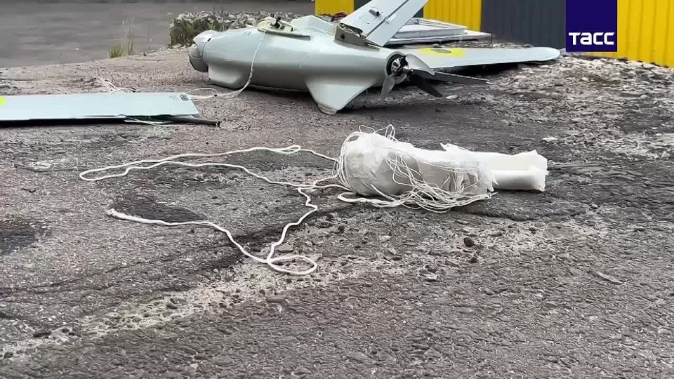 ������ ����������� ���������� �����������, ��������� �� ������������� �������� � ��������