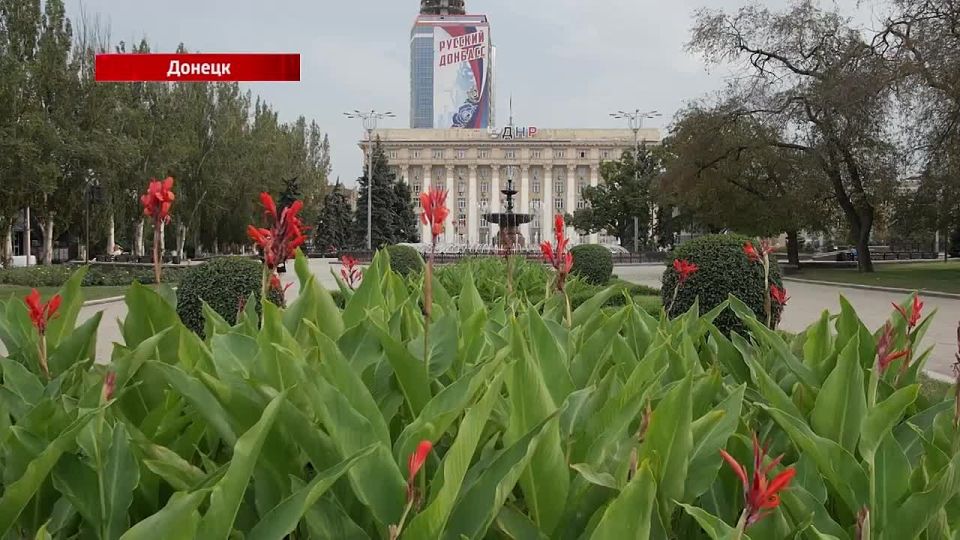 ����� �������� ���������� �������������� ������� ������� �������