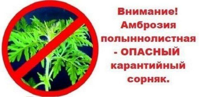 ����������� �� ������ � ��������� ��������������