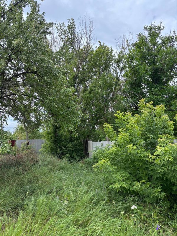 ��������� ��� ������� �����߻ ������� ������ ��������� ����������� ������� �������� � ��� �����