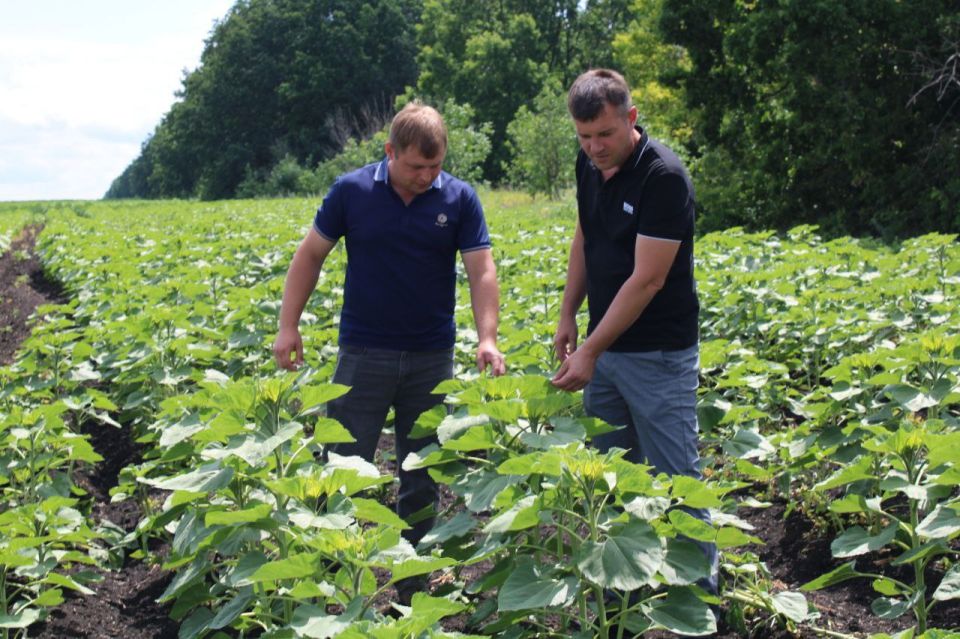 �������� ������: ���������� ����������������� �������� �������� ���������� ��������� ������� ������������� ������� ������������� "������" �� ����� ������� "������������� �������" ���� ����� �.�. ����������