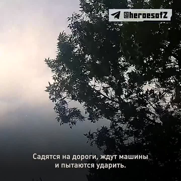 �� ������ ��������� ��������������� ��������� ������ ���������� ����������