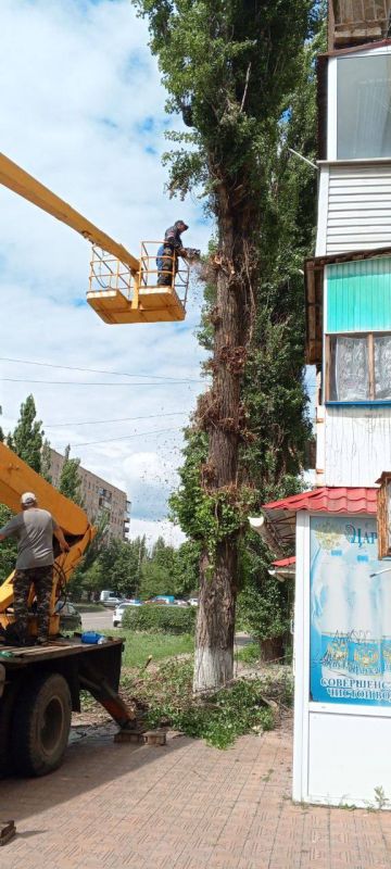 �������� ��������: ������������� � ��������. � �������� ������������ ����� �����, ������� � ���� ��������� ��������