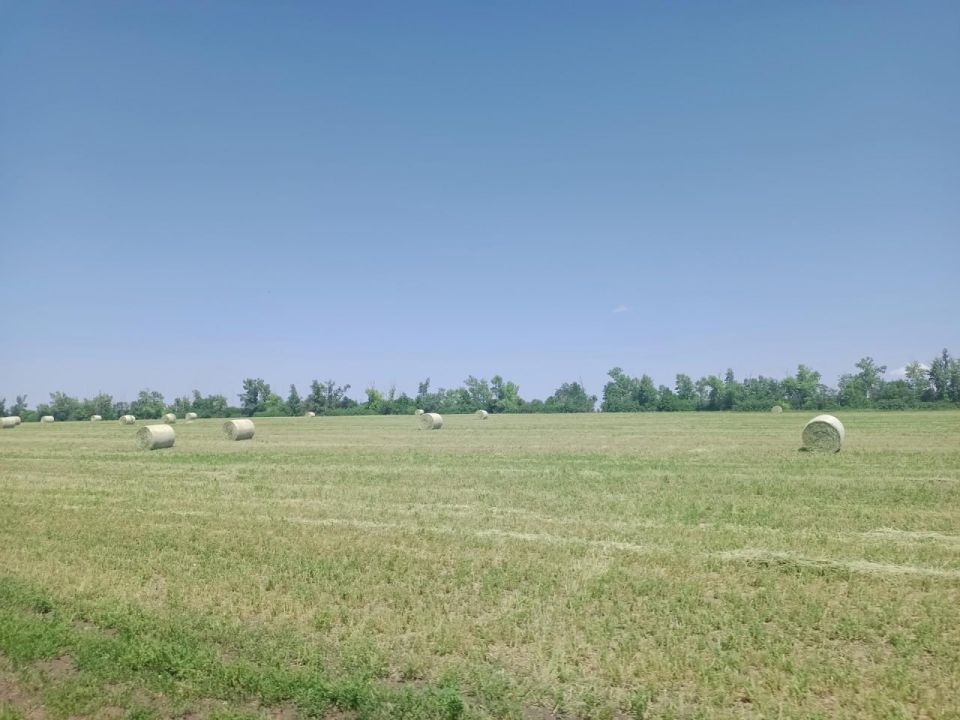 Еще одно предприятие ЛНР стало резидентом свободной экономической зоны