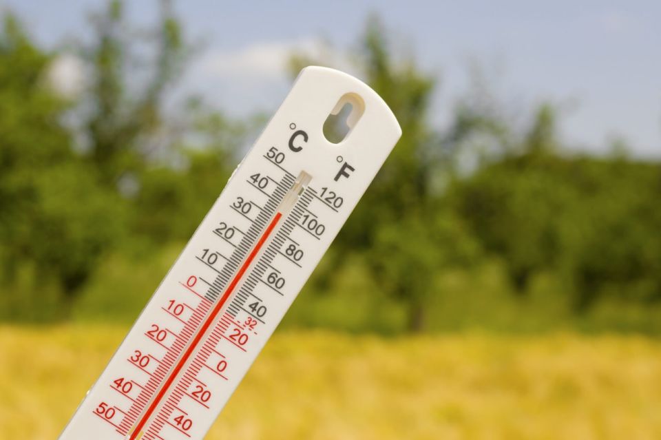 ����������� ������� �� ���������� ��������� +39�C