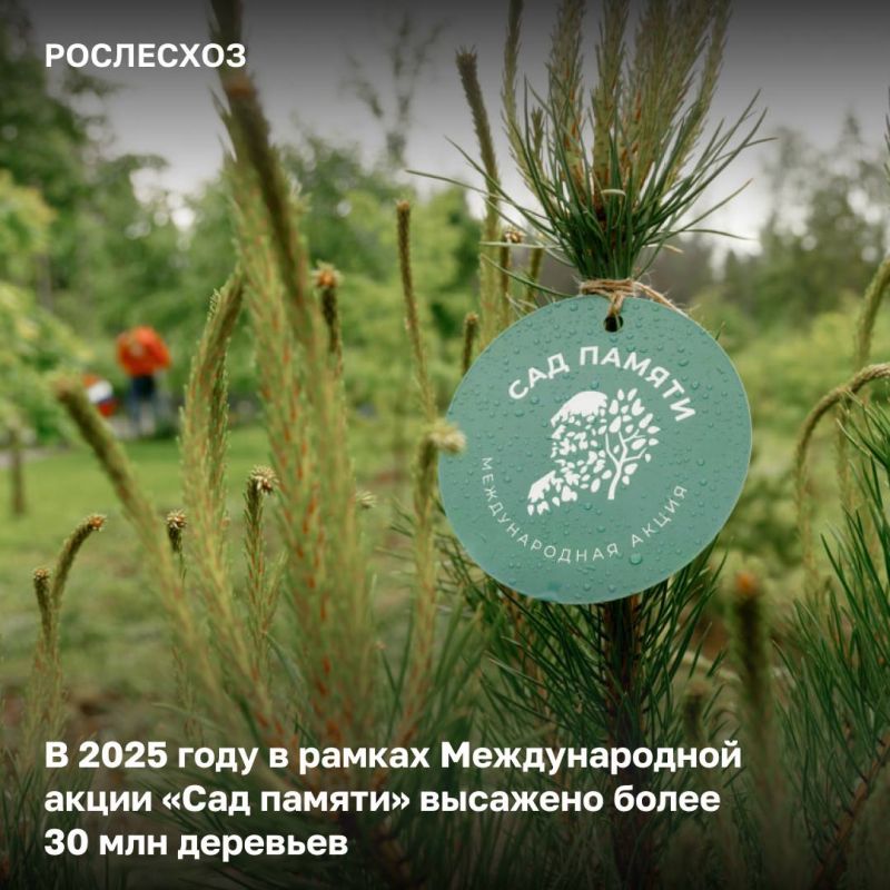� 2025 ���� � ������� ������ ������������� ����� ���� ������ �������������� �� ���� �������� ������