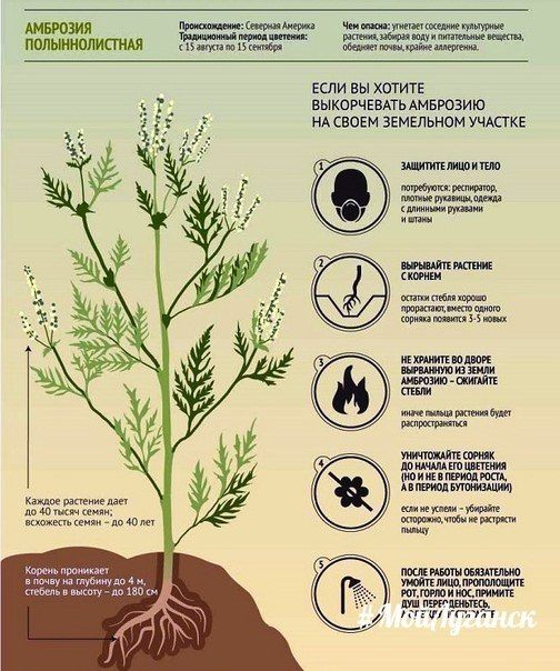 �������� ������: ��������! ����������� � ������������� ������ ����������� ��������