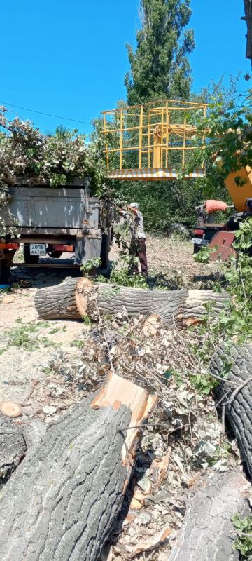 �������� ��������: ������������� � ��������. � �������� ������������ ����� �����, ������� � ���� ��������� ��������