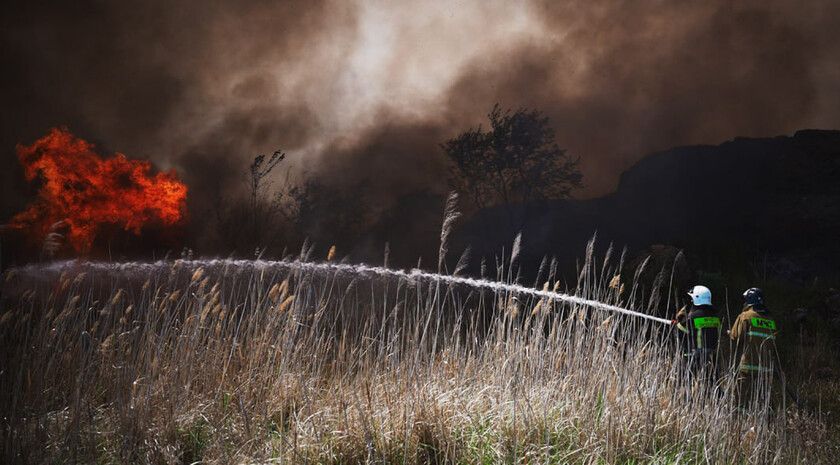 Пожары за сутки уничтожили два пшеничных поля в двух районах ЛНР — МЧС