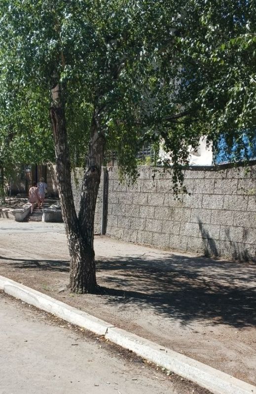 �������� ������: ������������ ������ � ����������� ����������������� ����������� ���������� ������������� ����������� ����� � ����������� ����������� �������