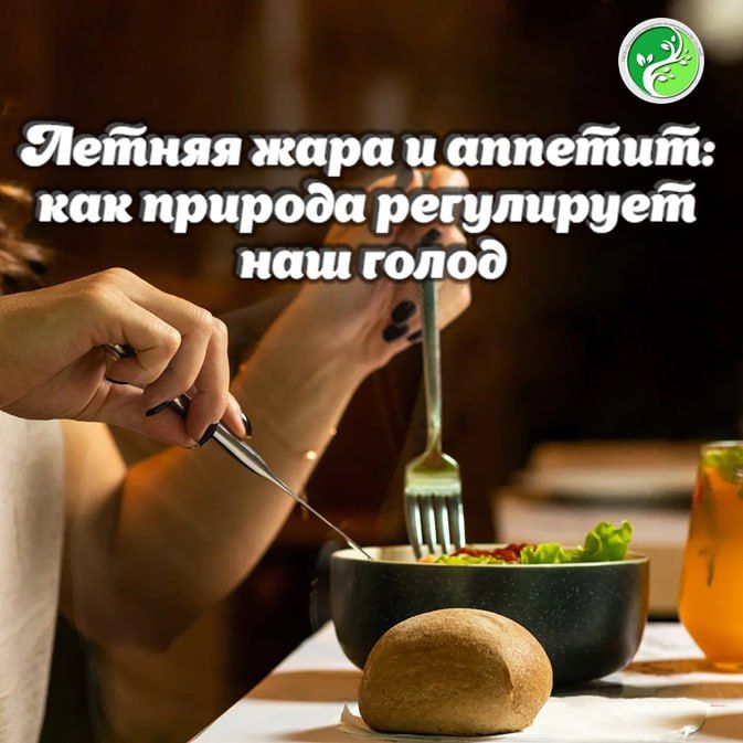 ������ ��������, ��� ������� ���������, � ����� ���� ������ ���������� ������������� �������