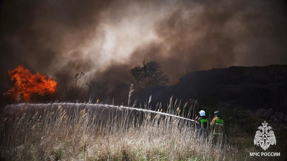 В ЛНР за сутки сгорело 13,5 гектаров пшеницы