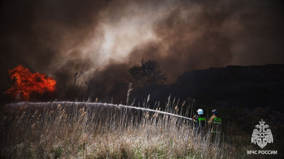 В Сватовском и Кременском округах сгорели два пшеничных поля площадью 12 га и 1,5 га. Органы дознания устанавливают причины пожара