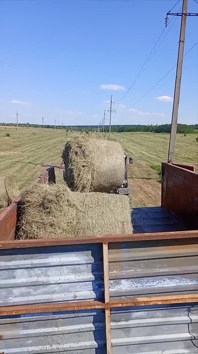 � ������������� ������������� ������ ���������� �������� ��������� ���� �� ����