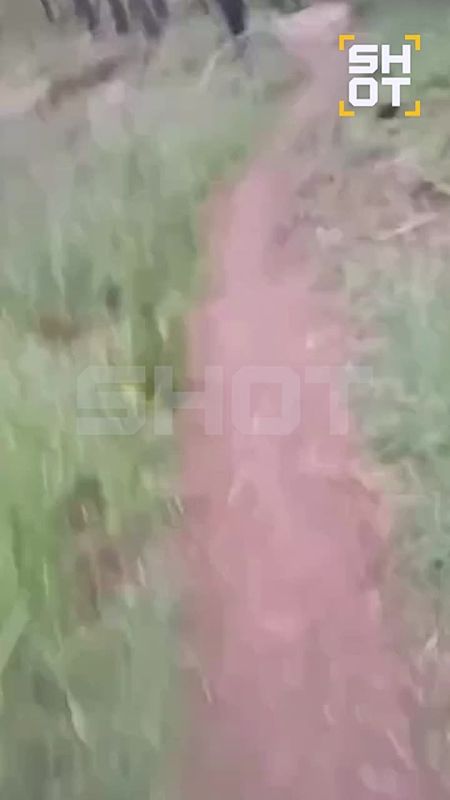 Бойцы ВС РФ эвакуировали раненого товарища, читая стихи из «Брата-2», чтобы тот не потерял сознание