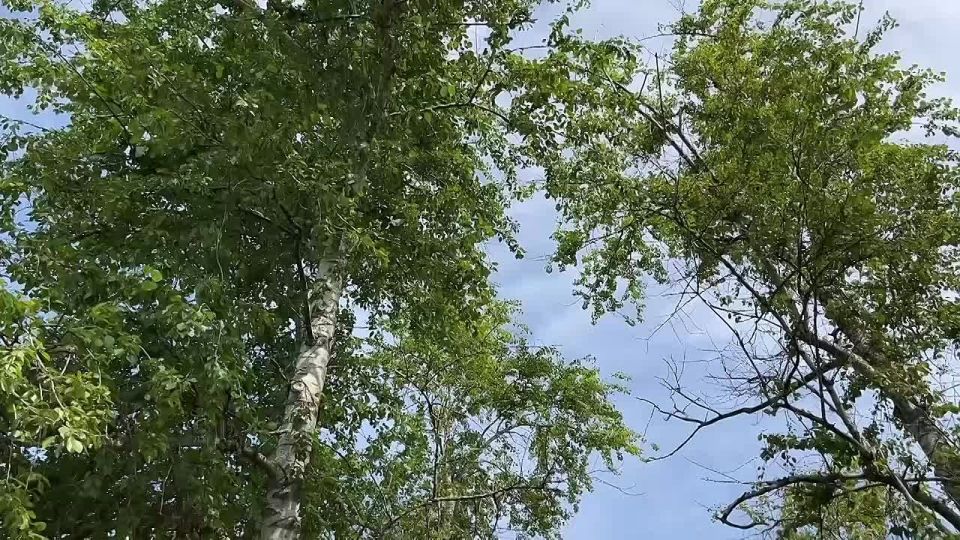 ���� ������� �� �������� ������� ��� ���� ����������� ��������