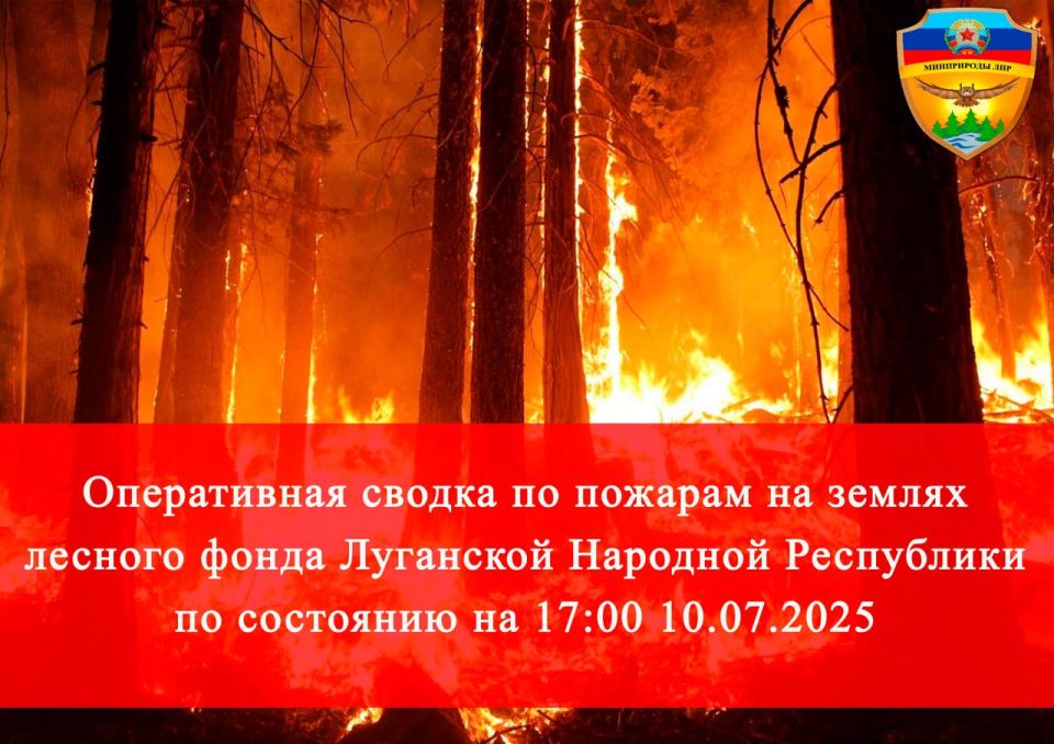 �� ������ ������� ����� ��������� �������� ���������� 10.07.2025 ������������ ���� ������ �����, ������� ������ �� ��� ����������