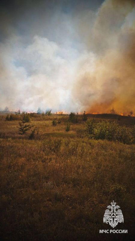 На территории ЛНР вчера зафиксировано более 70 пожаров, большая часть из которых — на открытых территориях