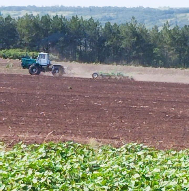 �������� ������: ������� �������������� �������������� ������ ������� �������� ����������� ����� � ������ ��������� ��������