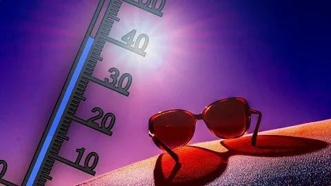 ������� ������ �� 12 ����. �� ������ �������: