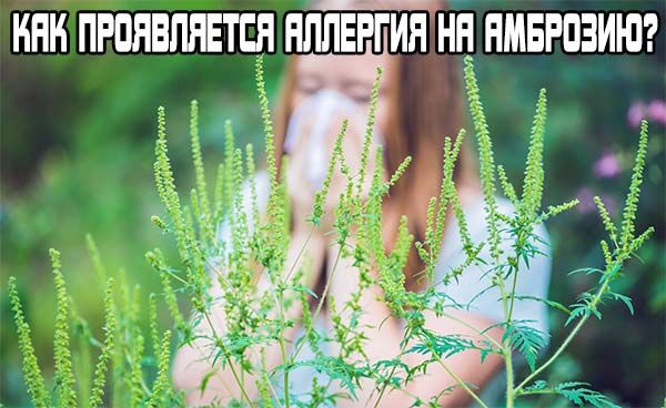 �������� �� ��������: �������, �������� � ������������