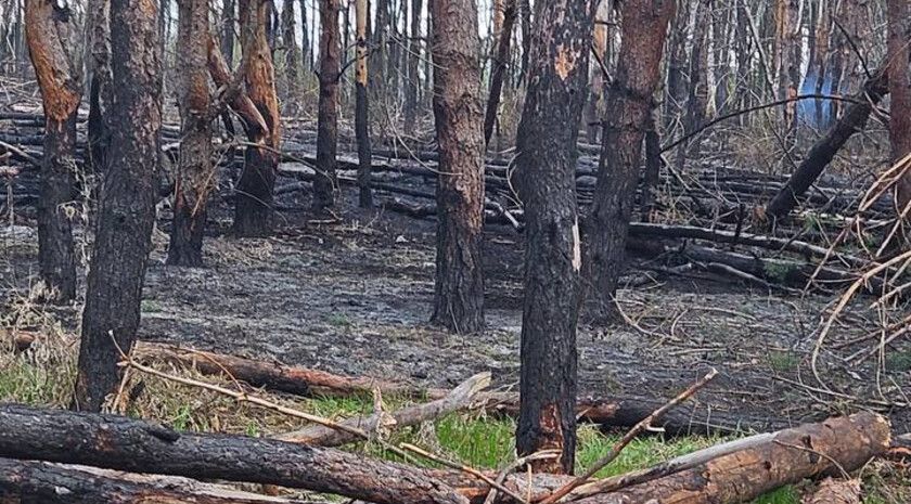 ����� �� �������������� ��������� ������ � ������������� ������ ��-�� ������ �������