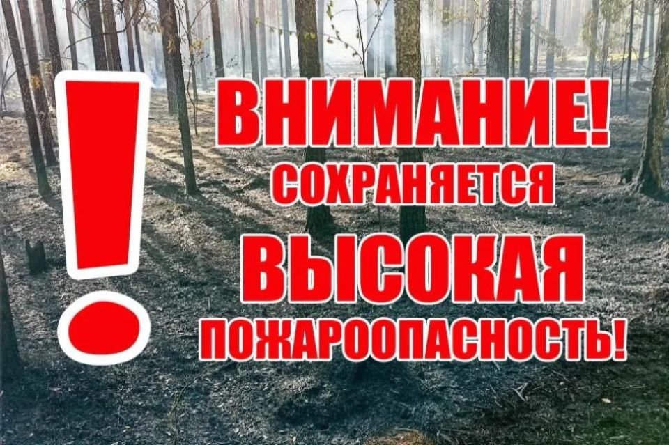 Андрей Рубанцов: Устоявшаяся жара на территории Республики несёт опасность для жизни и имущества жителей!