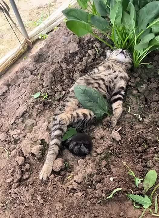 �������� ���� � ����� ������ ����