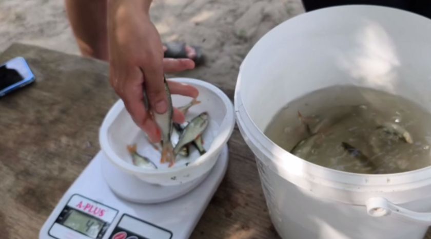 Более двух десятков рыбаков приняли участие в первенстве Брянки по рыбной ловле